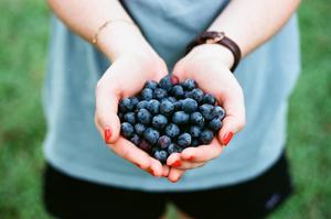 blueberries in hand-ul